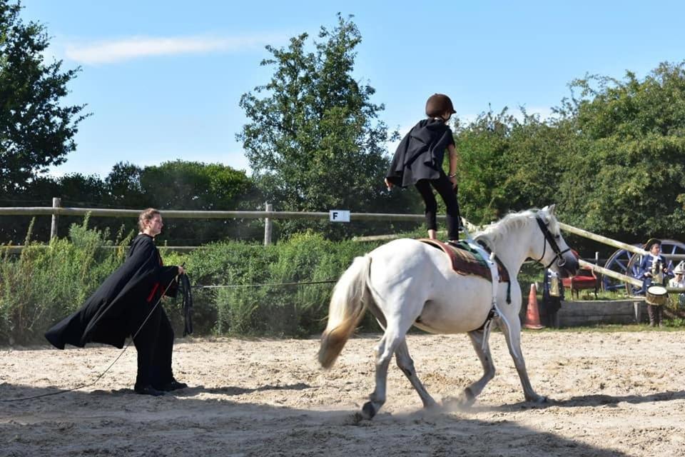 Ecuries Leseigneur - Camping Insolites Bolleville  المظهر الخارجي الصورة