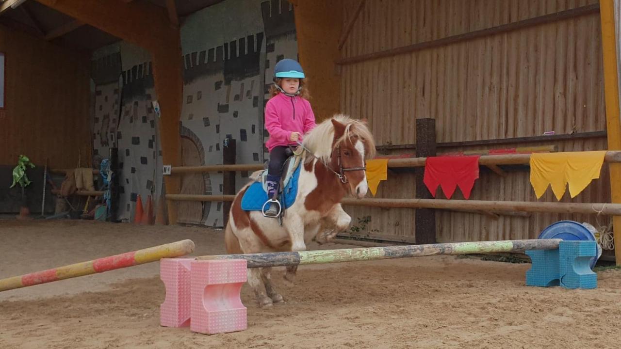 Ecuries Leseigneur - Camping Insolites Bolleville  المظهر الخارجي الصورة