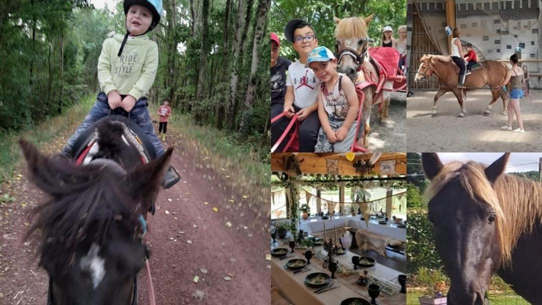 Ecuries Leseigneur - Camping Insolites Bolleville  المظهر الخارجي الصورة