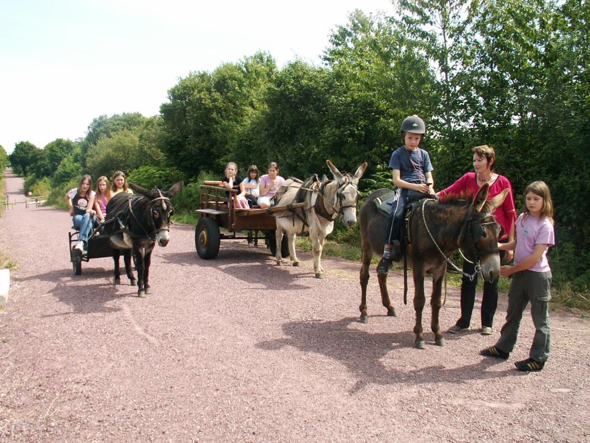 Ecuries Leseigneur - Camping Insolites Bolleville  المظهر الخارجي الصورة
