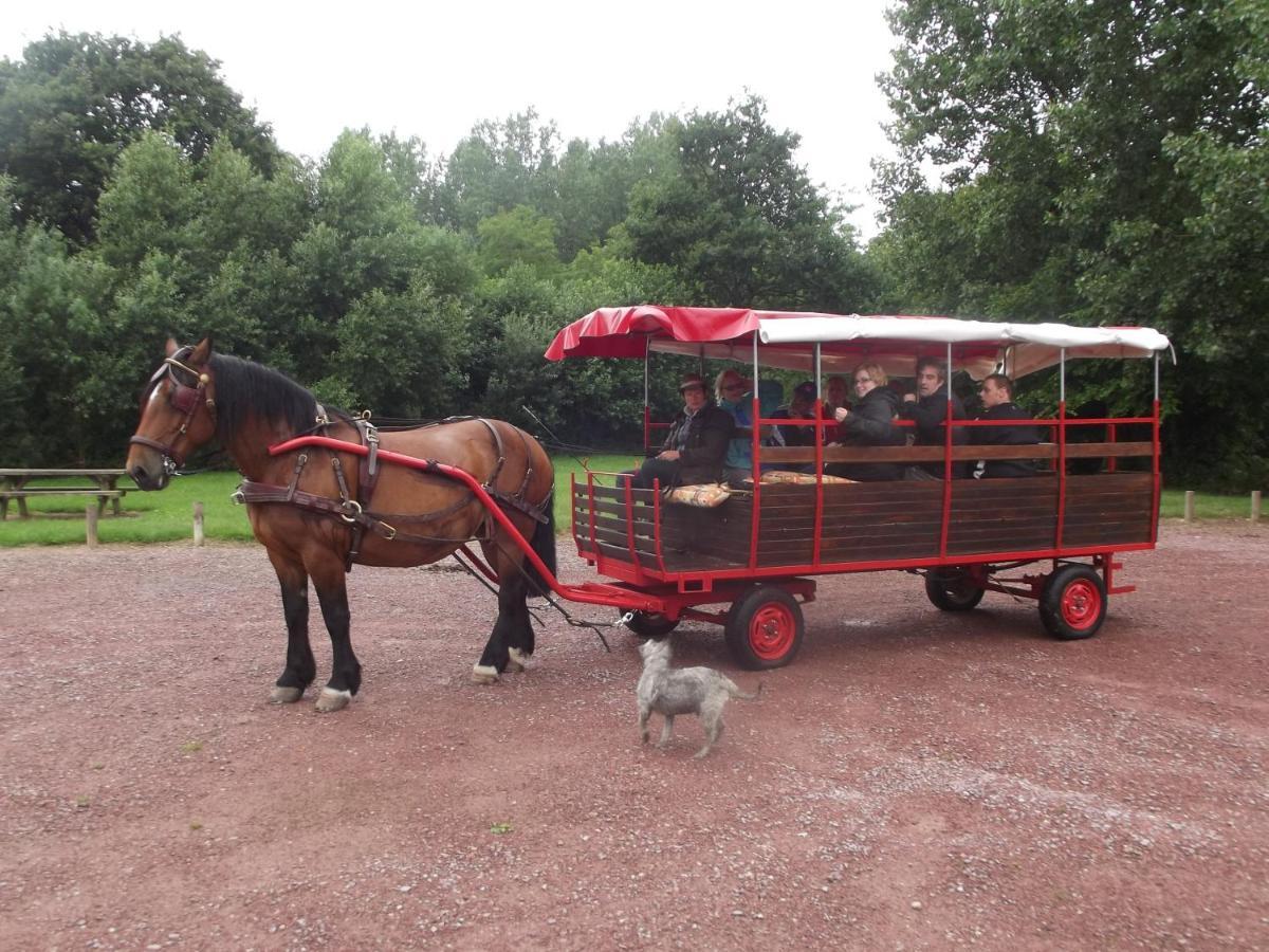 Ecuries Leseigneur - Camping Insolites Bolleville  المظهر الخارجي الصورة